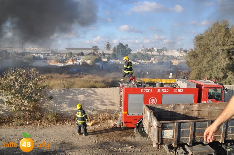 fire kargalsaj (3).JPG